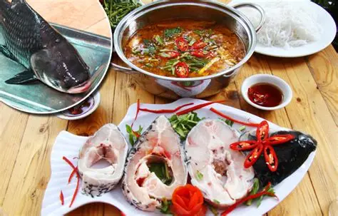 CÁ HÔ LẨU (P) (Phần)